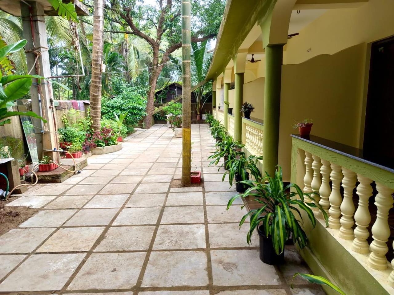 One Love Guest House Morjim Extérieur photo