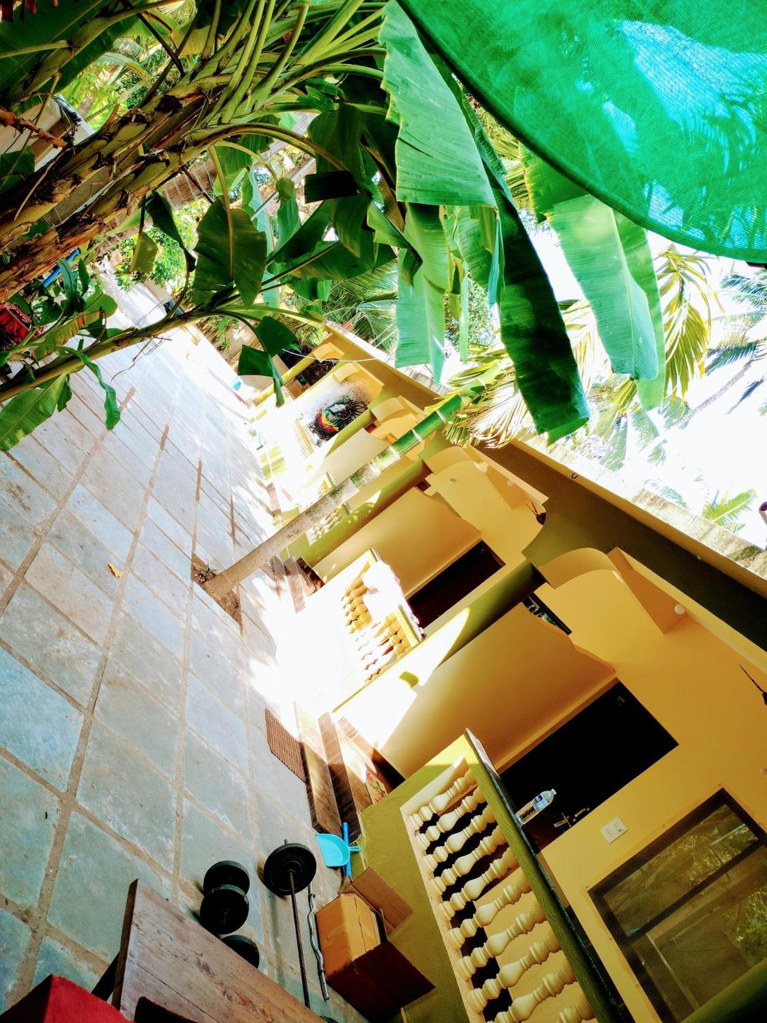 One Love Guest House Morjim Extérieur photo